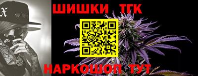 СК Конаково
