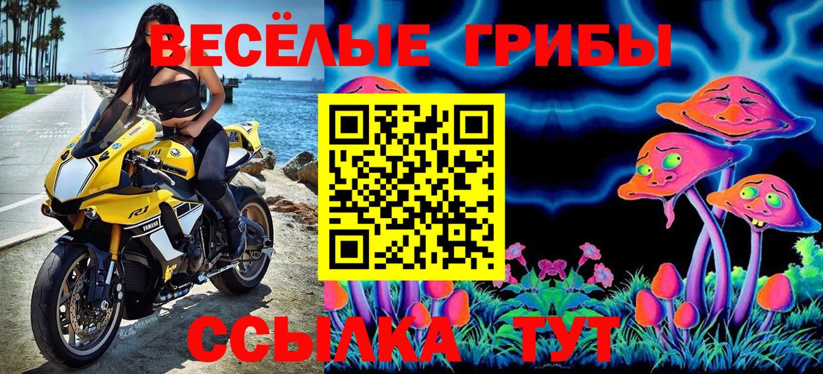 Галлюциногенные грибы Cubensis Омск