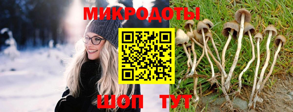 Омск  Псилоцибиновые грибы прущие грибы  Псилоцибиновые грибы Cubensis  Вход с VPN 
