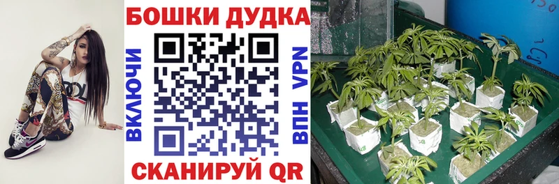 omg как войти  Омск  Марихуана MAZAR 
